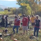 Meadowlark Farm photo