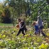 Meadowlark Farm photo