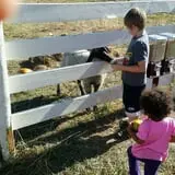 Meadowlark Farm photo