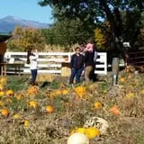 Meadowlark Farm photo