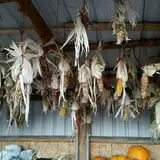 Meadowlark Farm photo