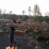 Meadowlark Farm photo