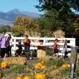 Meadowlark Farm photo
