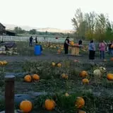 Meadowlark Farm photo