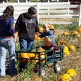 Meadowlark Farm photo