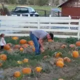Meadowlark Farm photo