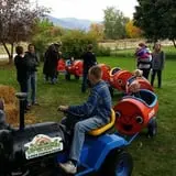 Meadowlark Farm photo