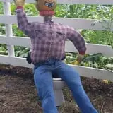 Meadowlark Farm photo