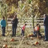 Meadowlark Farm photo