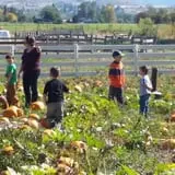 Meadowlark Farm photo