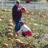 Meadowlark Farm photo