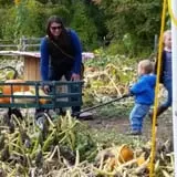Meadowlark Farm photo