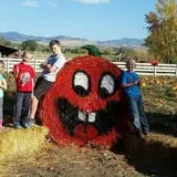 Meadowlark Farm photo
