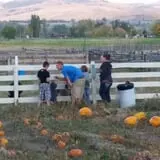Meadowlark Farm photo