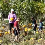 Meadowlark Farm photo