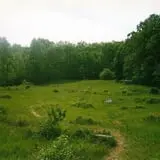 ,