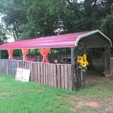 Parkhurst Pumpkin Patch photo