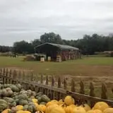 Parkhurst Pumpkin Patch photo