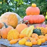Parkhurst Pumpkin Patch photo