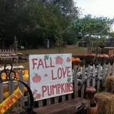 Parkhurst Pumpkin Patch photo