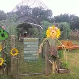 Parkhurst Pumpkin Patch photo