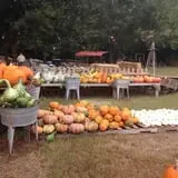 Parkhurst Pumpkin Patch photo