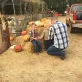 Parkhurst Pumpkin Patch photo