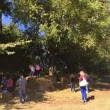 Parkhurst Pumpkin Patch photo