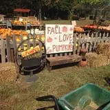 Parkhurst Pumpkin Patch photo