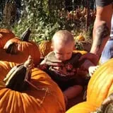 Parkhurst Pumpkin Patch photo