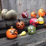 Parkhurst Pumpkin Patch photo