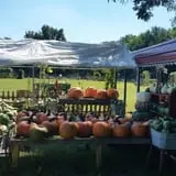 Parkhurst Pumpkin Patch photo