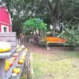 Parkhurst Pumpkin Patch photo