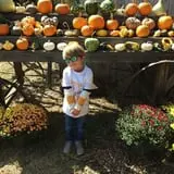 Parkhurst Pumpkin Patch photo