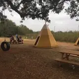 Parkhurst Pumpkin Patch photo