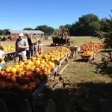 Parkhurst Pumpkin Patch photo