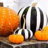 Parkhurst Pumpkin Patch photo
