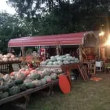 Parkhurst Pumpkin Patch photo