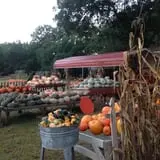 Parkhurst Pumpkin Patch photo