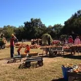 Parkhurst Pumpkin Patch photo