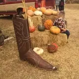 Parkhurst Pumpkin Patch photo