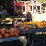 Parkhurst Pumpkin Patch photo