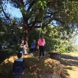 Parkhurst Pumpkin Patch photo