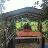 Parkhurst Pumpkin Patch photo