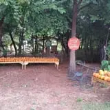 Parkhurst Pumpkin Patch photo