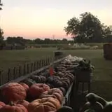 Parkhurst Pumpkin Patch photo