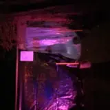 Happy Family Haunted House  photo
