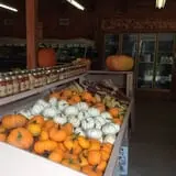 Gotta's Farm photo
