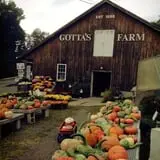Gotta's Farm photo