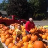 Gotta's Farm photo